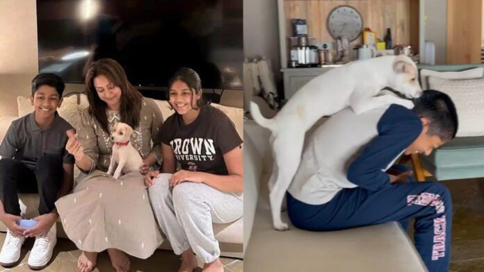 jyothika and her children's play with a pet photos goes viral